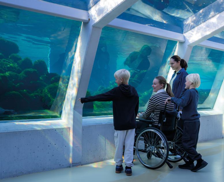 TFA topbillede Hjørring