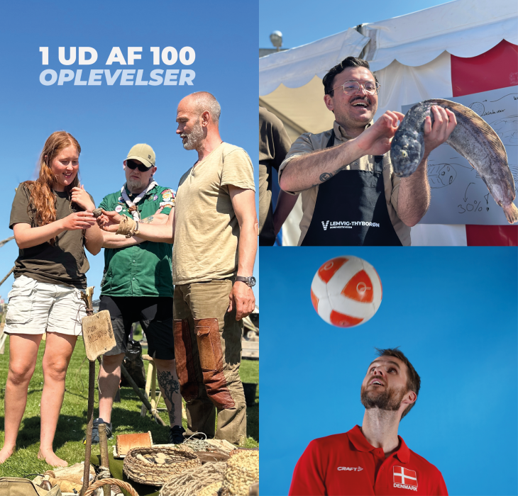 Topbillede 1 ud af 100