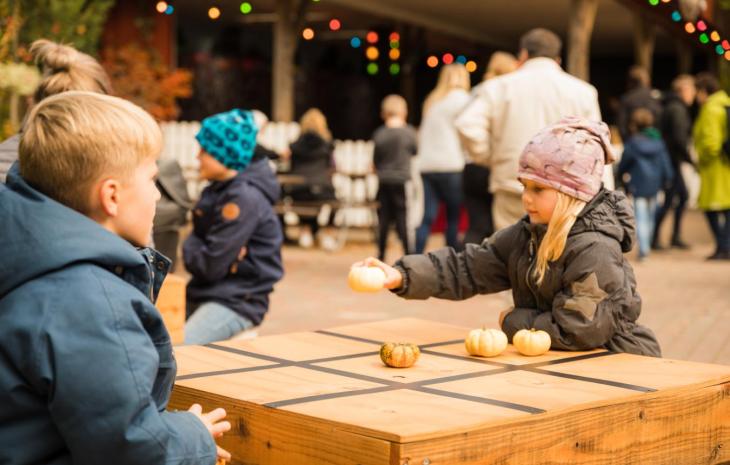 Høstfest